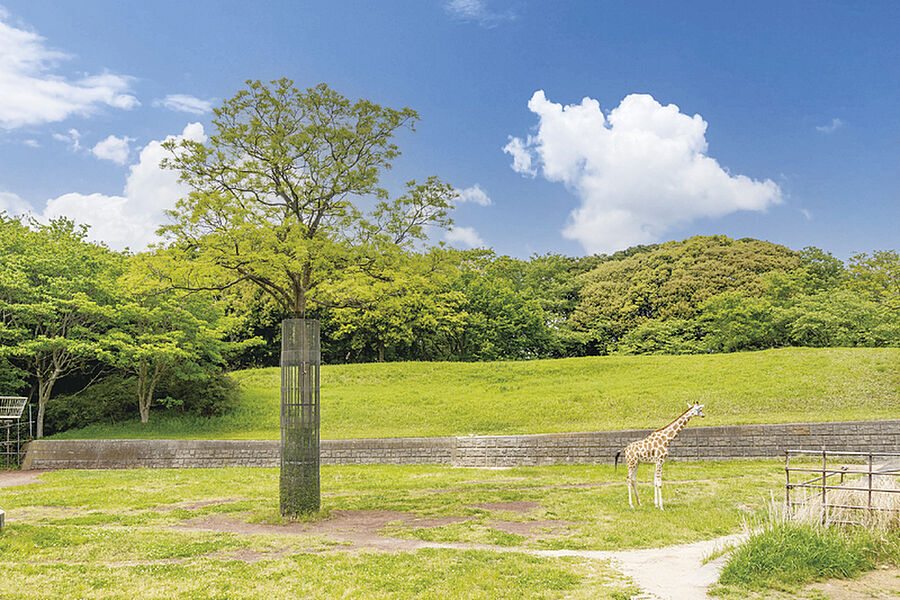 【レジャー】千葉市動物公園（現地より徒歩67分）