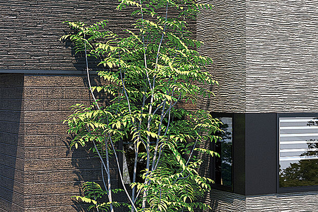 【【シンボルツリー】】景観に潤いを与えるだけでなく、家族の成長と共に成長を楽しめる家のシンボルとなる植栽を選定しました。※号棟により採用状況が異なります。