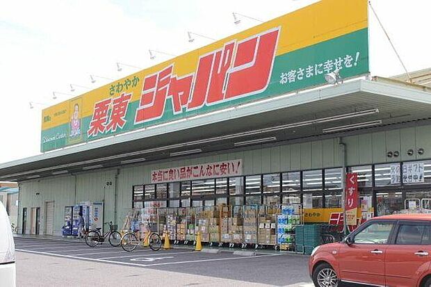 ジャパン栗東店（約800m）