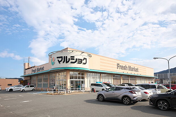 マルショク今宿店(約3,600m)