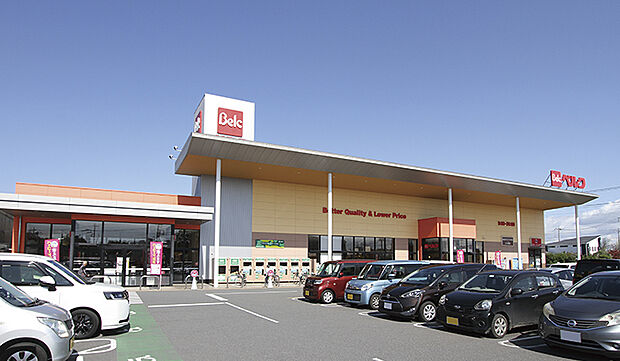 ベルクフォルテ羽生店(約350m)