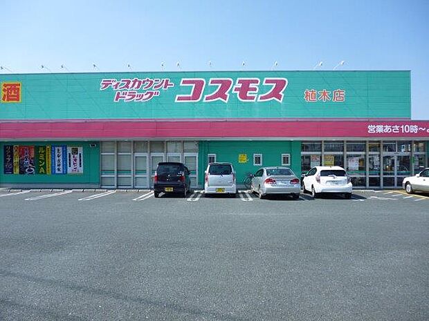 ディスカウントドラッグコスモス 植木南店
