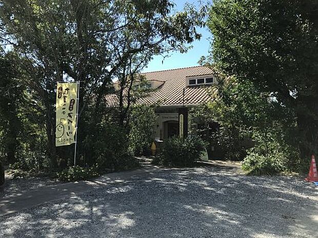 ひなたまこっこ