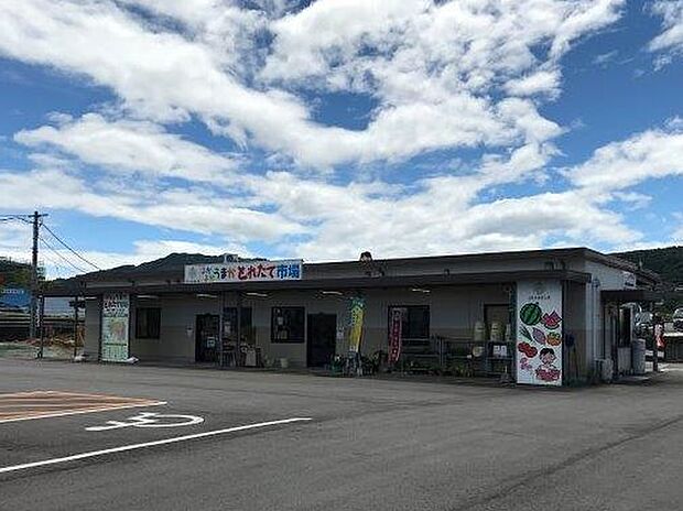 よかよかうまかとれたて市場 益城店