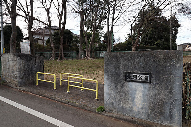 北原公園（約450m）