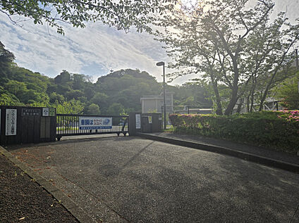 横須賀市立鷹取小学校 550m