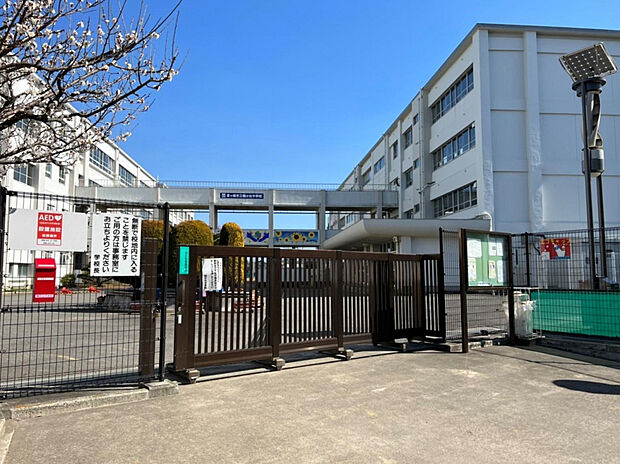 茅ヶ崎市立鶴が台中学校（約800m）