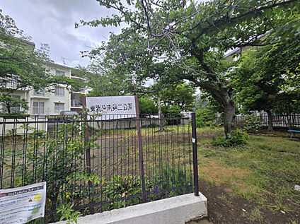 東海岸南第二公園 100m