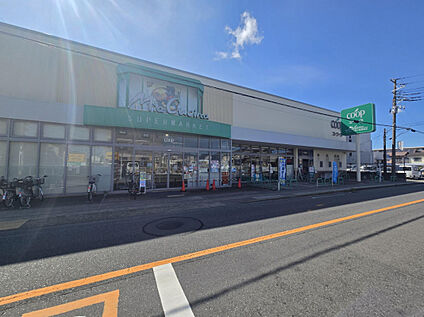 ミアクチーナ茅ヶ崎高田店 500m