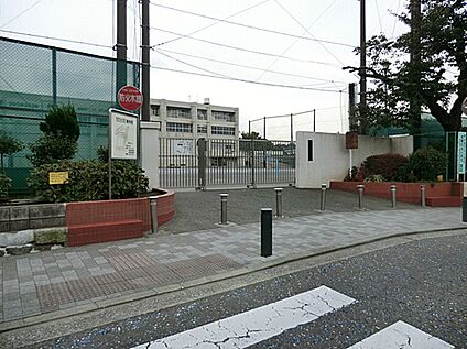 横浜市立稲荷台小学校 800ｍ