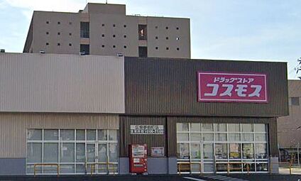 ディスカウントドラッグコスモス広畑夢前町店 約620ｍ(徒歩8分)
