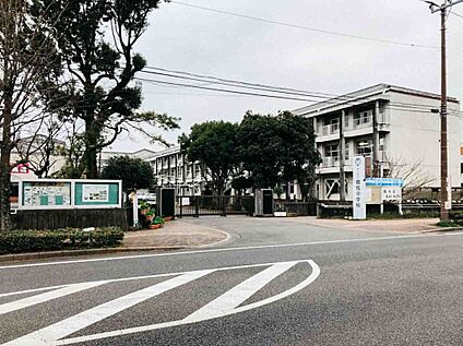 鶴城中学校 約800m