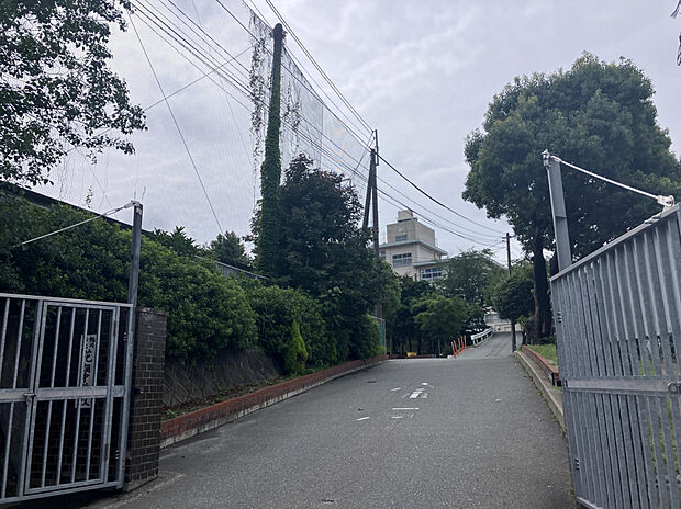 花畑中学校（約650m）