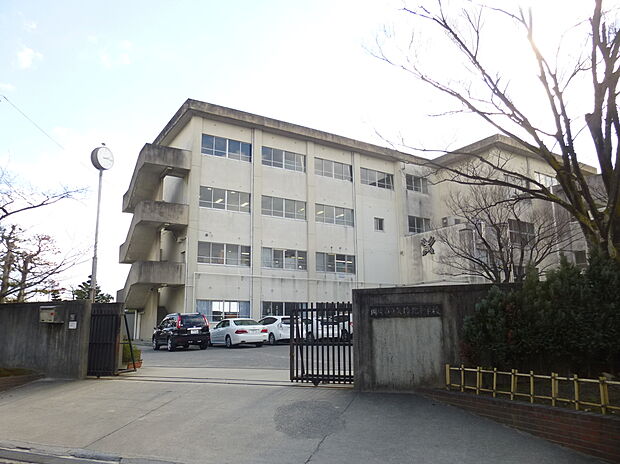 矢作北中学校(約348m)