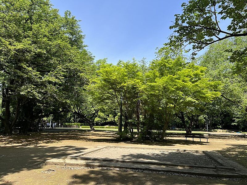 【レジャー】城山公園