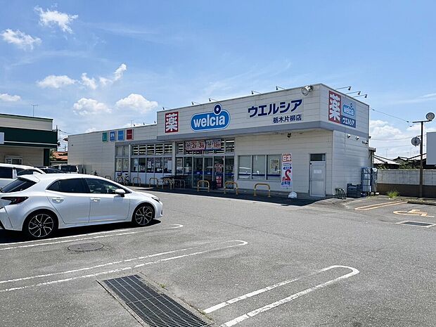 ウエルシア栃木片柳店（約1m）