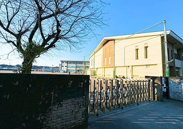 石井小学校(約621m)