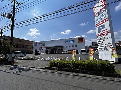 ウエルシア飯能緑町店 480ｍ(徒歩6分)