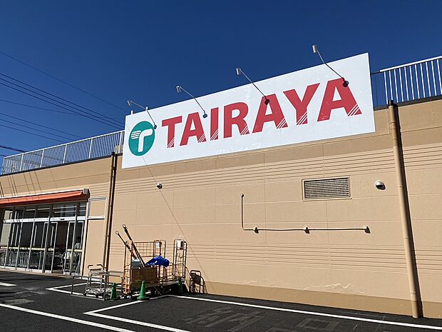 エコス TAIRAYA(タイラヤ) 武蔵藤沢店(約230m)