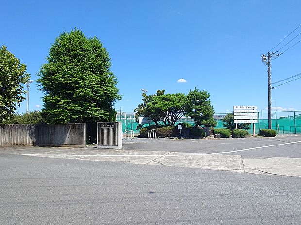 栃木市立東陽中学校(約3m)