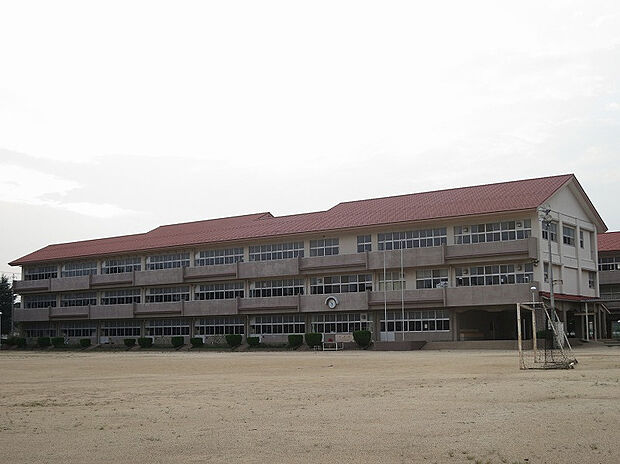 坂西中学校