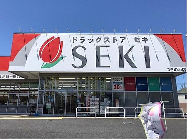 ドラッグストアセキつきのわ店