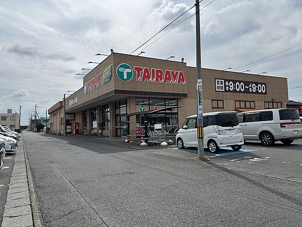 エコス TAIRAYA(タイラヤ) 石下店(約1m)