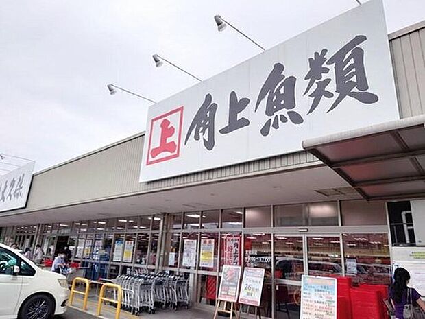 角上魚類