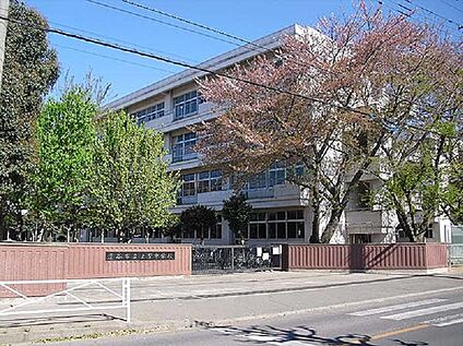 上柴中学校 約1430ｍ(徒歩18分)