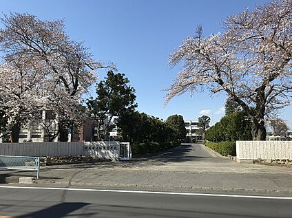 幡羅中学校 約1310ｍ(徒歩17分)