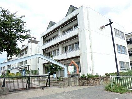 伊勢崎市立赤堀南小学校 約770m(徒歩10分)