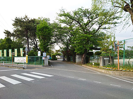 桜沢小学校 約960ｍ(徒歩12分)