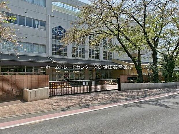 杉並区立宮前中学校(約550m)