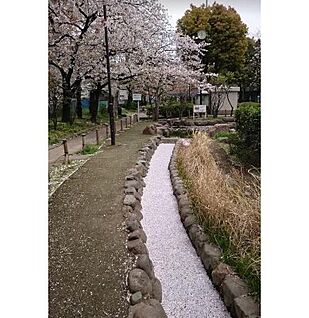 旧呑川緑地 290ｍ(徒歩4分)