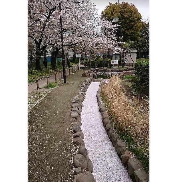 旧呑川緑地(約290m)