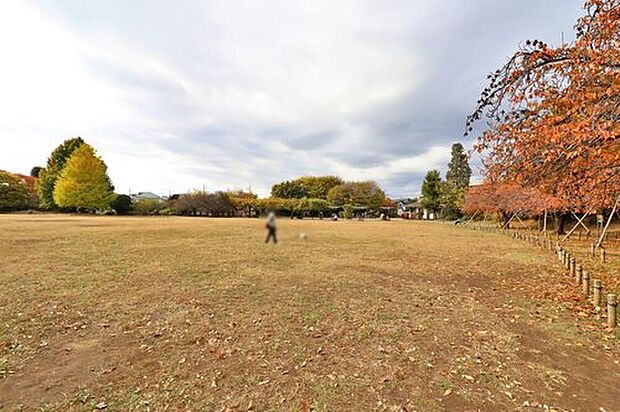 立野公園(約950m)