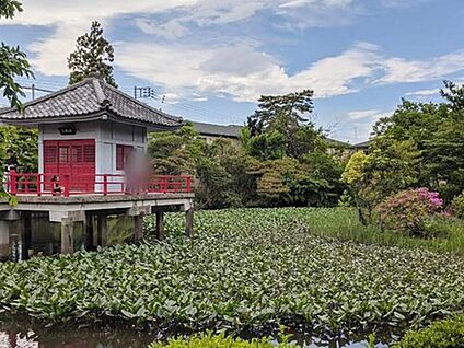 烏山寺町 高源院 550ｍ(徒歩7分)