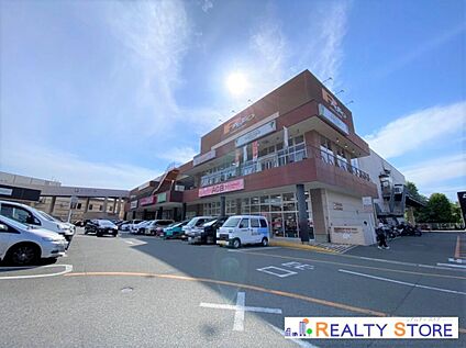 パセオ野間大池 950m