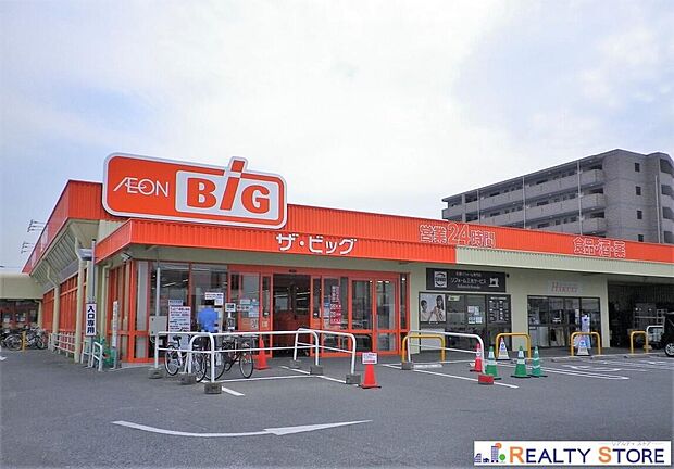 ザ・ビッグ南福岡店(約600m)