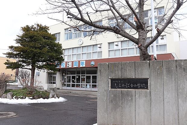 しらかば台小学校（2025年12月撮影）
