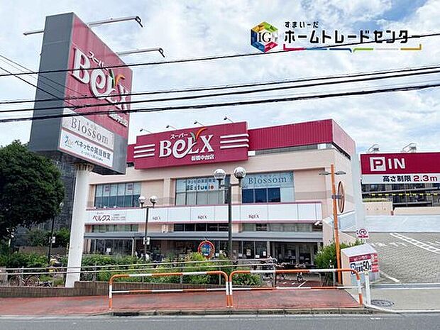 ベルクス板橋中台店(約160m)