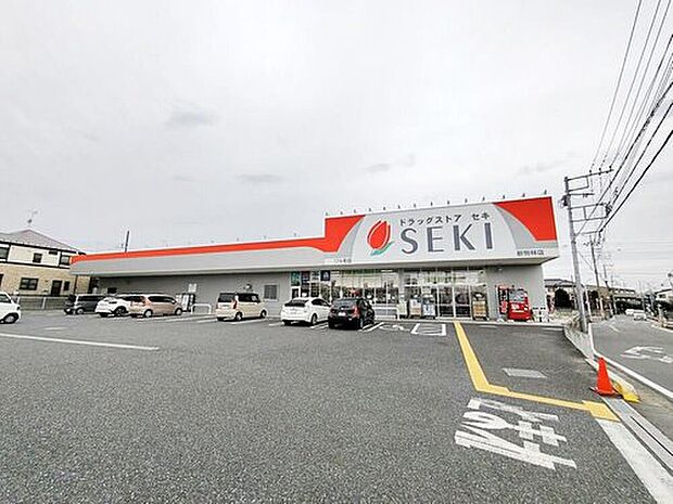 ドラッグストアセキ新駒林店（約600m）