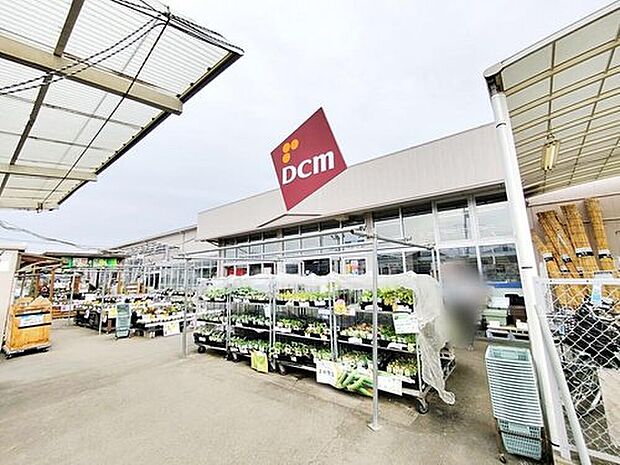 DCM三芳店（約980m）