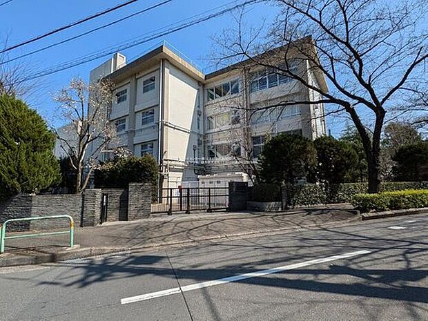 練馬区立八坂中学校（約880m）