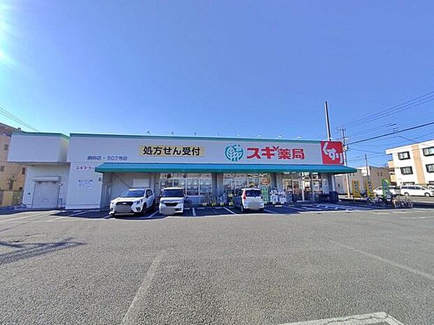 スギ薬局駒林店（約870m）