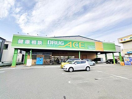ドラッグ・エース朝霞宮戸店 820ｍ(徒歩11分)