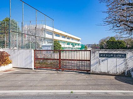 新座市立陣屋小学校 1100m(徒歩14分)