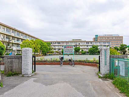富士見市立諏訪小学校 800m(徒歩10分)