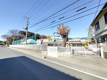 すわ幼稚園 608m(徒歩8分)