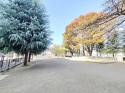 北朝霞公園 1200m(徒歩15分)